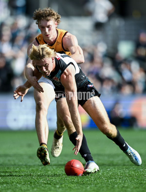 AFL 2023 Round 12 - Port Adelaide v Hawthorn - A-1730674