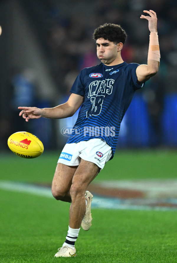 AFL 2023 Round 12 - Western Bulldogs v Geelong - A-1730686