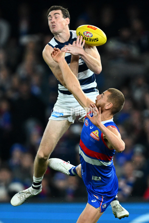 AFL 2023 Round 12 - Western Bulldogs v Geelong - A-1732486