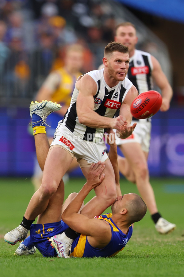 AFL 2023 Round 12 - West Coast v Collingwood - A-1732510