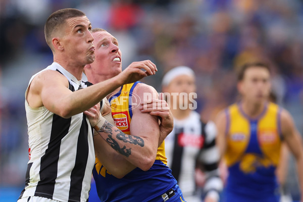 AFL 2023 Round 12 - West Coast v Collingwood - A-1732518