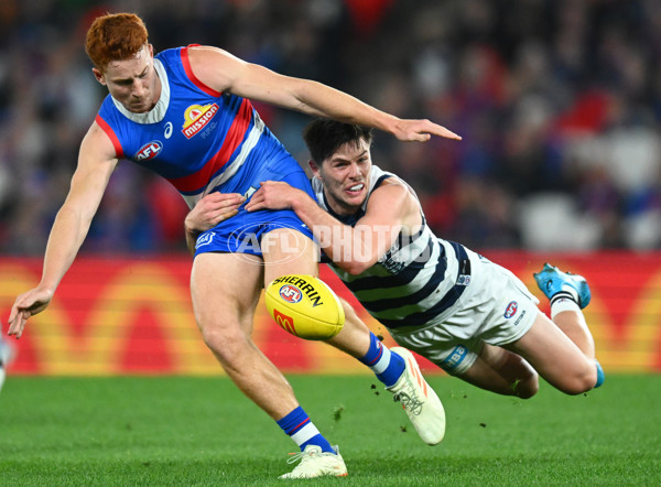 AFL 2023 Round 12 - Western Bulldogs v Geelong - A-1732528