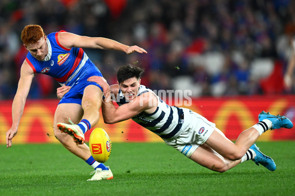 AFL 2023 Round 12 - Western Bulldogs v Geelong - A-1732529