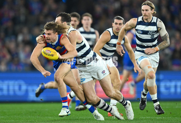 AFL 2023 Round 12 - Western Bulldogs v Geelong - A-1732540