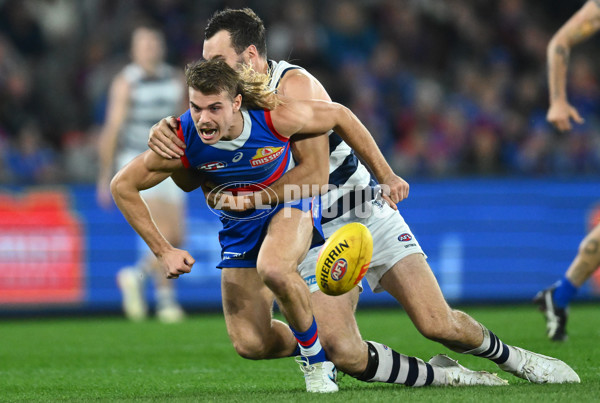 AFL 2023 Round 12 - Western Bulldogs v Geelong - A-1732541