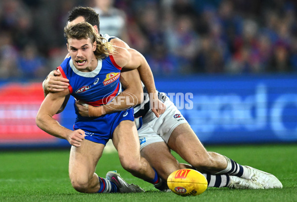 AFL 2023 Round 12 - Western Bulldogs v Geelong - A-1732542