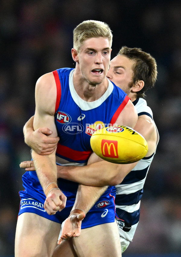 AFL 2023 Round 12 - Western Bulldogs v Geelong - A-1732546