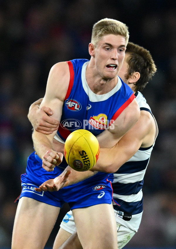 AFL 2023 Round 12 - Western Bulldogs v Geelong - A-1732547