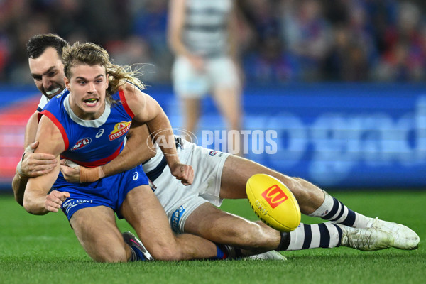 AFL 2023 Round 12 - Western Bulldogs v Geelong - A-1732550