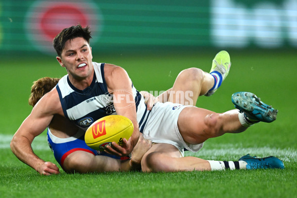 AFL 2023 Round 12 - Western Bulldogs v Geelong - A-1733770