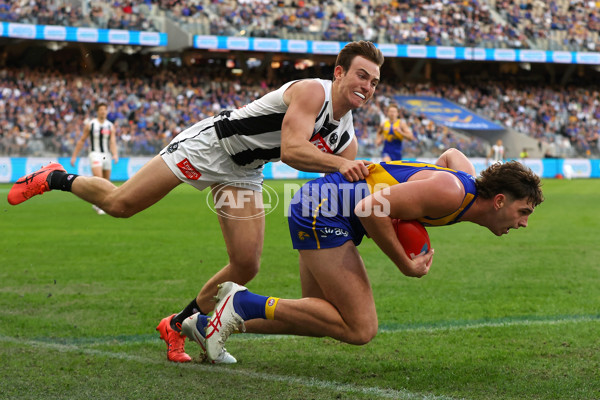 AFL 2023 Round 12 - West Coast v Collingwood - A-1733778