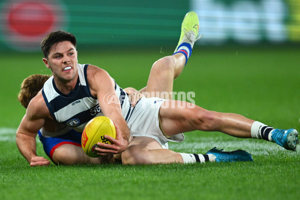 AFL 2023 Round 12 - Western Bulldogs v Geelong - A-1733779