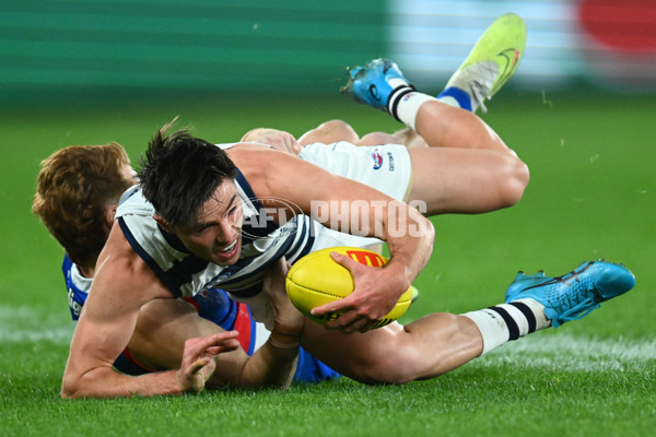 AFL 2023 Round 12 - Western Bulldogs v Geelong - A-1733782