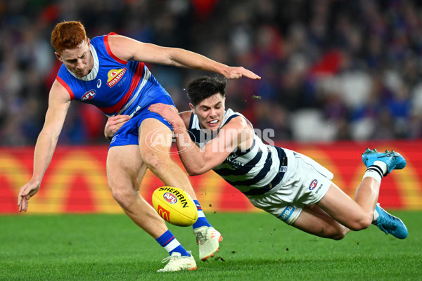 AFL 2023 Round 12 - Western Bulldogs v Geelong - A-1733796