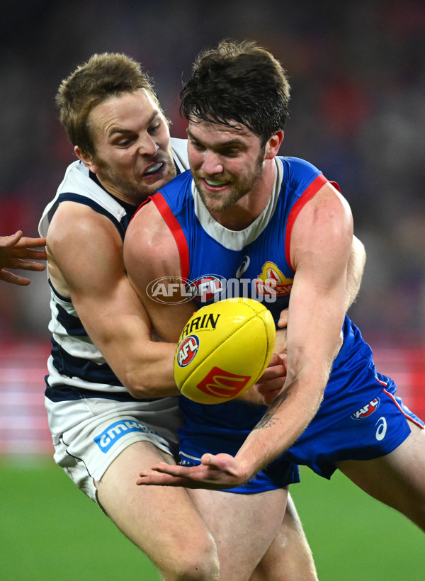 AFL 2023 Round 12 - Western Bulldogs v Geelong - A-1733813