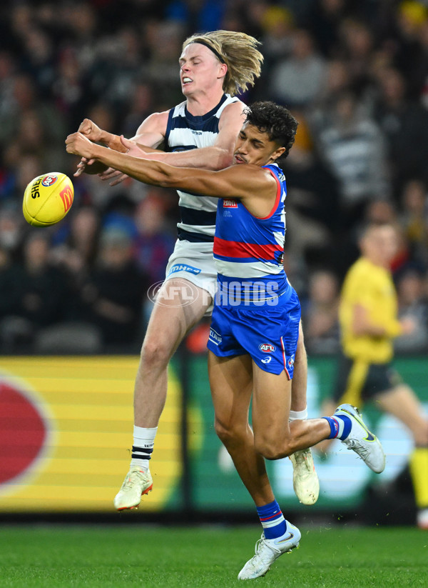 AFL 2023 Round 12 - Western Bulldogs v Geelong - A-1733814