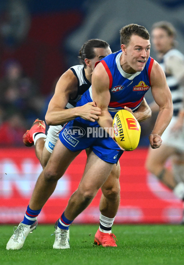 AFL 2023 Round 12 - Western Bulldogs v Geelong - A-1733830