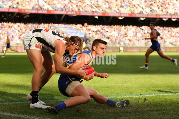 AFL 2023 Round 12 - West Coast v Collingwood - A-1733857