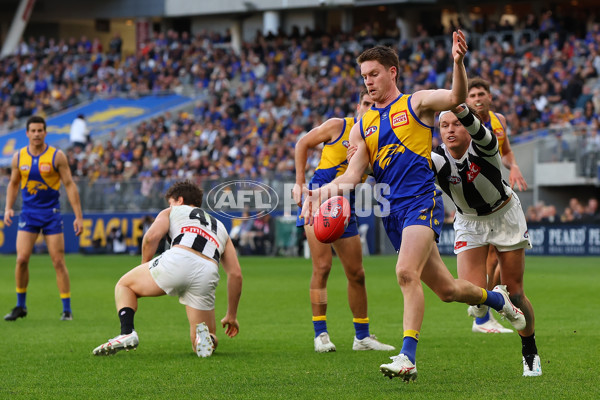 AFL 2023 Round 12 - West Coast v Collingwood - A-1733866