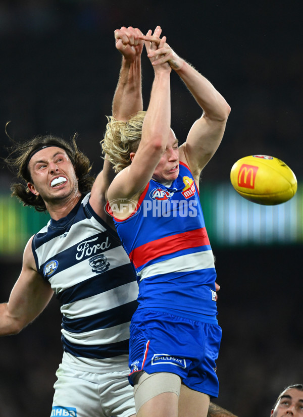 AFL 2023 Round 12 - Western Bulldogs v Geelong - A-1735587