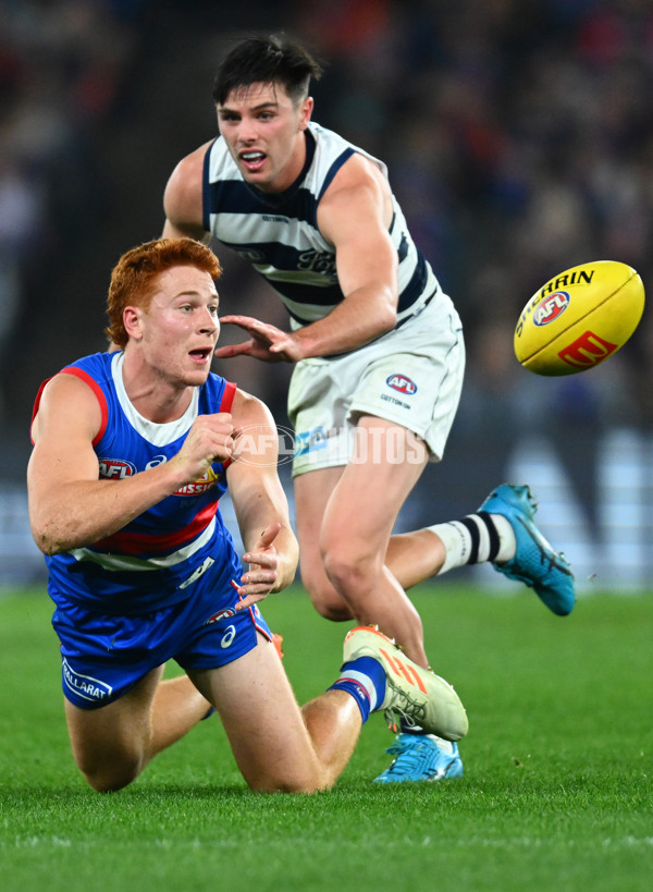 AFL 2023 Round 12 - Western Bulldogs v Geelong - A-1735610