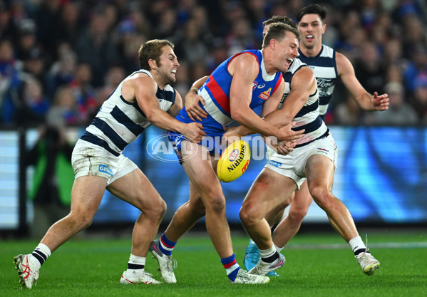 AFL 2023 Round 12 - Western Bulldogs v Geelong - A-1735611