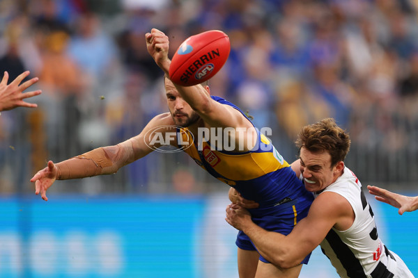 AFL 2023 Round 12 - West Coast v Collingwood - A-1735627