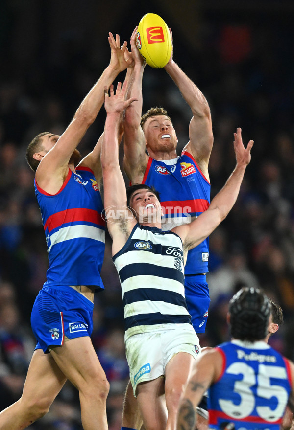 AFL 2023 Round 12 - Western Bulldogs v Geelong - A-1735657