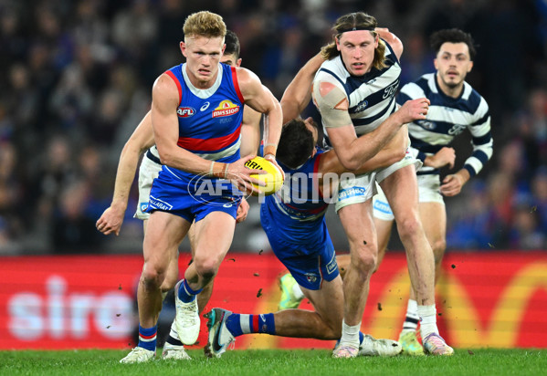 AFL 2023 Round 12 - Western Bulldogs v Geelong - A-1735668