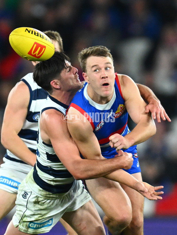 AFL 2023 Round 12 - Western Bulldogs v Geelong - A-1735675