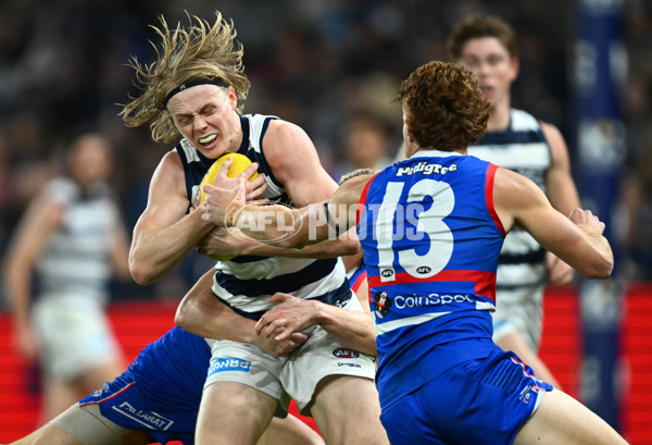 AFL 2023 Round 12 - Western Bulldogs v Geelong - A-1735676