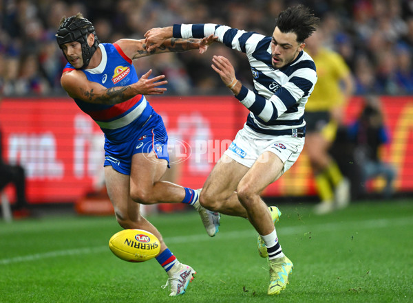 AFL 2023 Round 12 - Western Bulldogs v Geelong - A-1735677