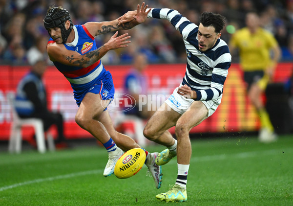 AFL 2023 Round 12 - Western Bulldogs v Geelong - A-1735678