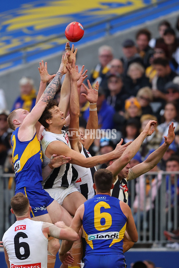 AFL 2023 Round 12 - West Coast v Collingwood - A-1737002