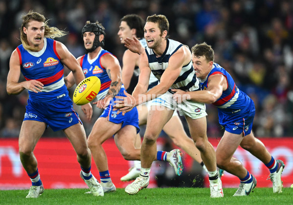 AFL 2023 Round 12 - Western Bulldogs v Geelong - A-1737025