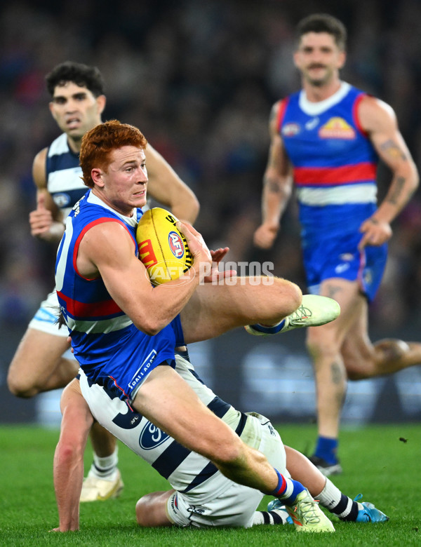 AFL 2023 Round 12 - Western Bulldogs v Geelong - A-1737026