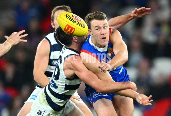 AFL 2023 Round 12 - Western Bulldogs v Geelong - A-1737029