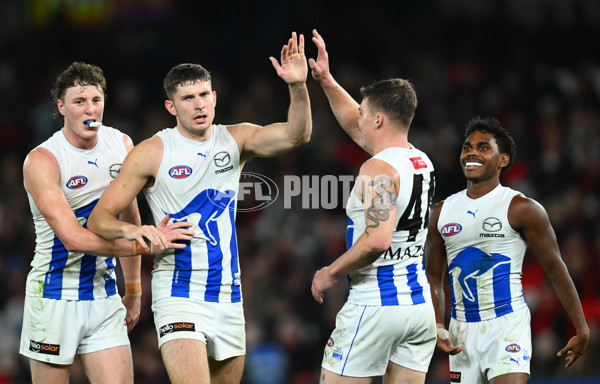 AFL 2023 Round 12 - Essendon v North Melbourne - A-1757476