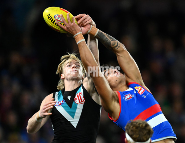 AFL 2023 Round 13 - Western Bulldogs v Port Adelaide - A-1782242