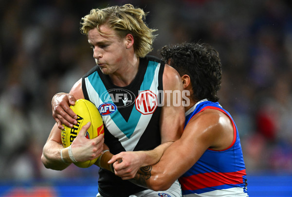 AFL 2023 Round 13 - Western Bulldogs v Port Adelaide - A-1786624