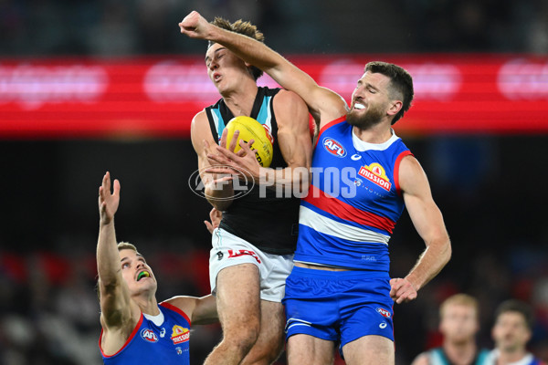 AFL 2023 Round 13 - Western Bulldogs v Port Adelaide - A-1786627