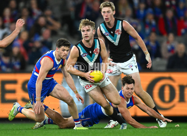 AFL 2023 Round 13 - Western Bulldogs v Port Adelaide - A-1786675