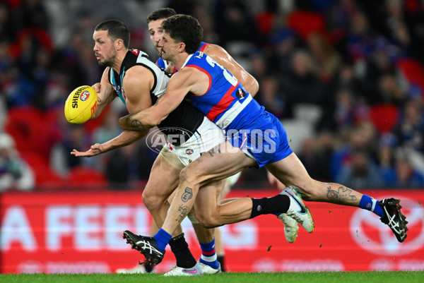 AFL 2023 Round 13 - Western Bulldogs v Port Adelaide - A-1787834