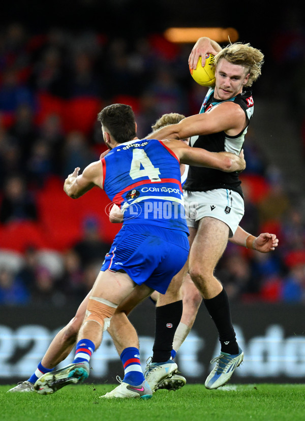 AFL 2023 Round 13 - Western Bulldogs v Port Adelaide - A-1787848