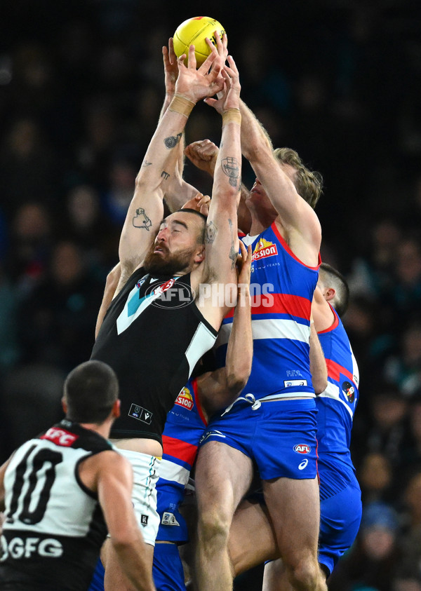 AFL 2023 Round 13 - Western Bulldogs v Port Adelaide - A-1787895