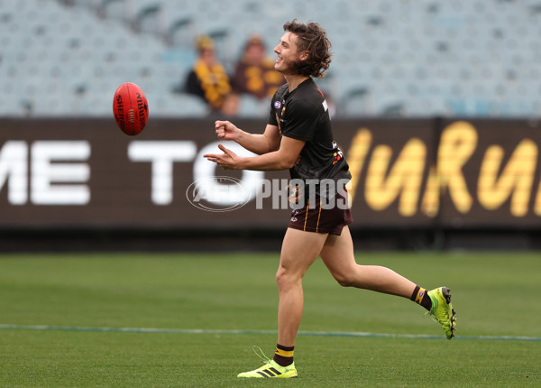 AFL 2023 Round 13 - Hawthorn v Brisbane - A-1792185