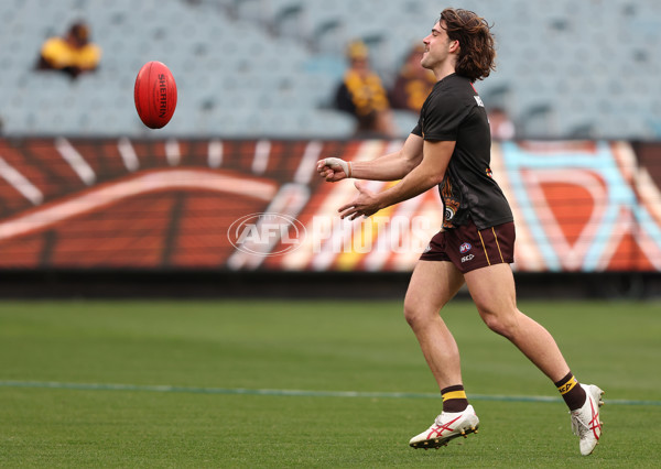 AFL 2023 Round 13 - Hawthorn v Brisbane - A-1792490