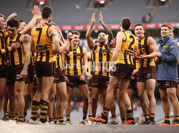 AFL 2023 Round 13 - Hawthorn v Brisbane - A-1795907