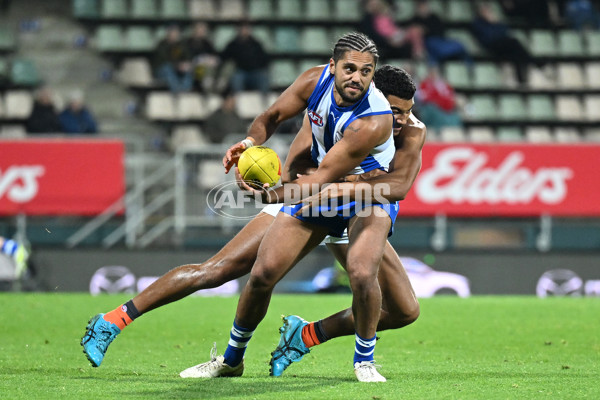 AFL 2023 Round 13 - North Melbourne v GWS - A-1807923