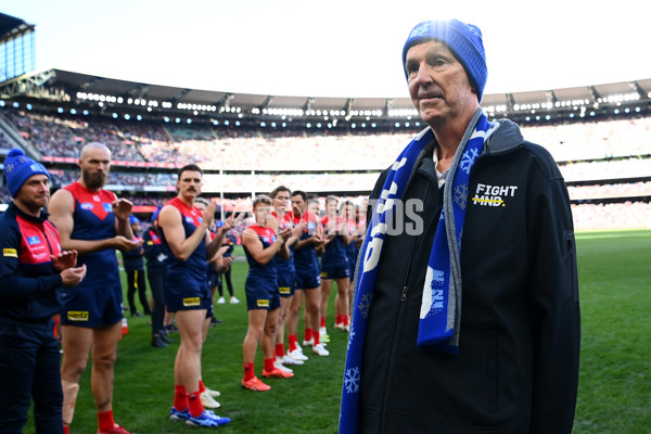 AFL 2023 Round 13 - Melbourne v Collingwood - A-1816390